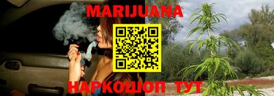 индика Мариинск