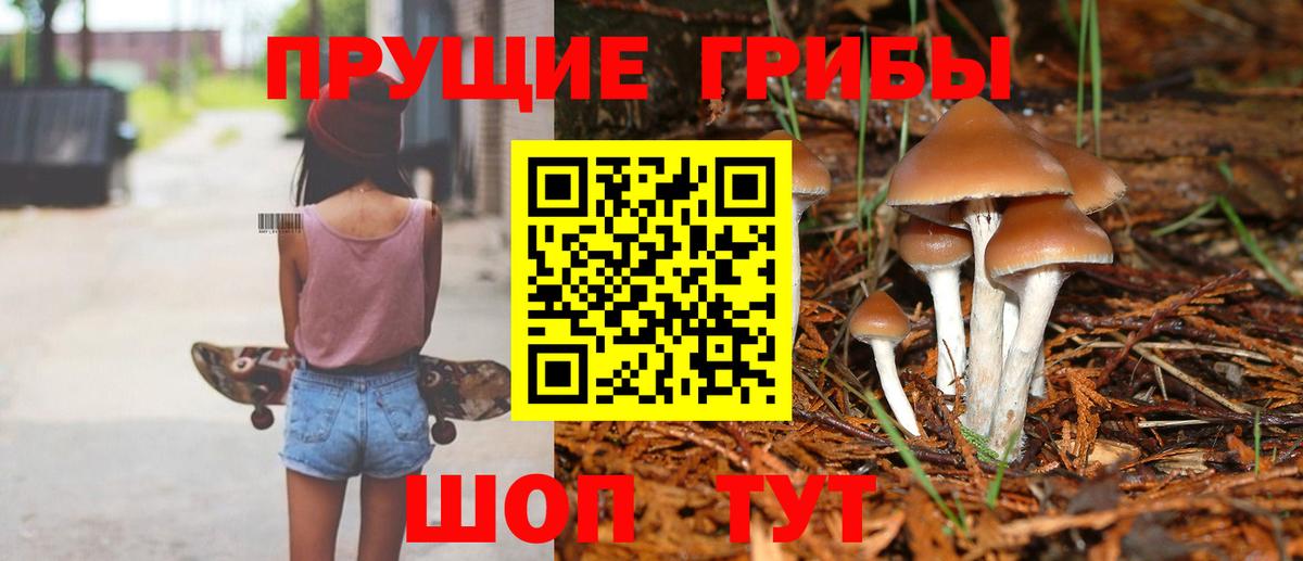 Галлюциногенные грибы Cubensis Гусь-Хрустальный